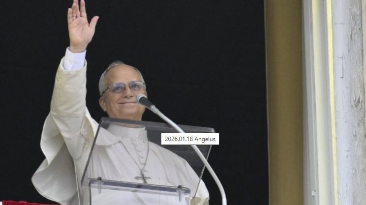 20260118_Angélus du Pape